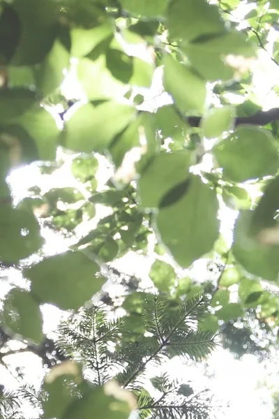 Siðferðileg og sjálfbær